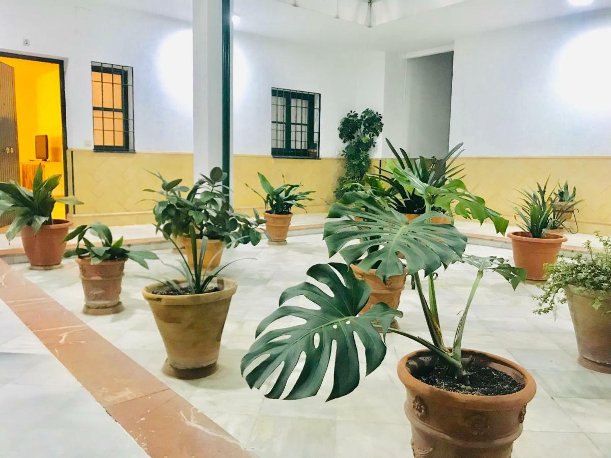 Los Patios De La Juderia Sevilla Bagian luar foto